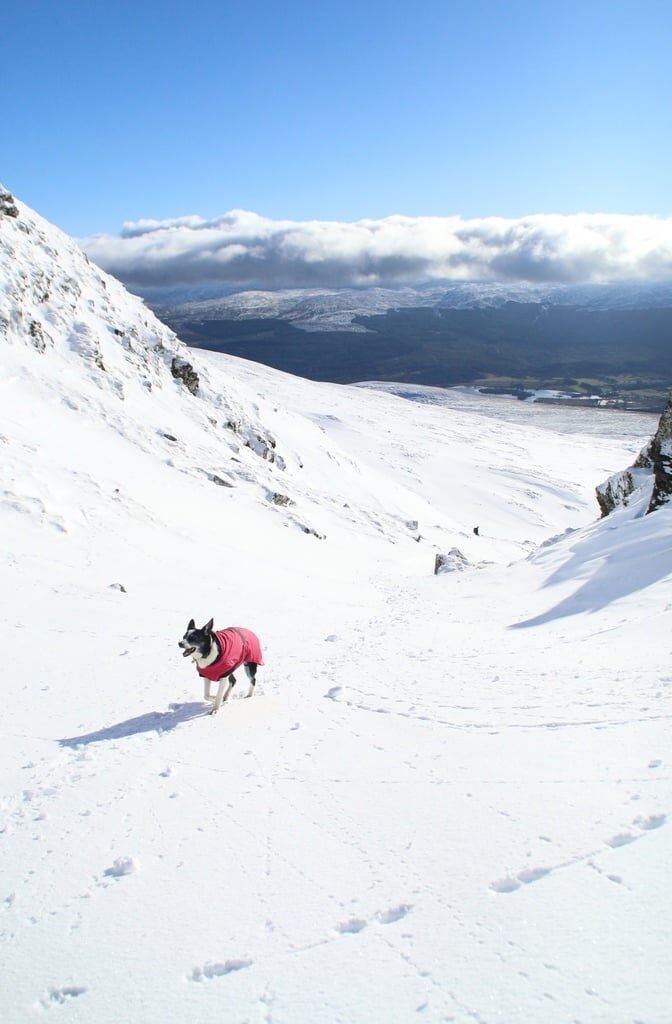 On Meall nan Tarmachan.